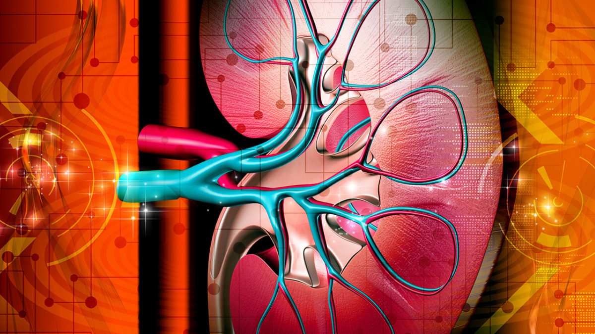 Enhancing Renal Function: A Revolutionary Approach with Axillary Mechanical Circulatory Support