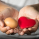 Eggs Unveiled Busting Cholesterol Myths for Heart Health